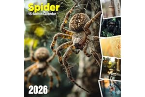 Spider 2026 Calendar