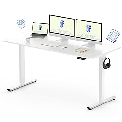 FLEXISPOT EC1 60" Large Height Adjustable, Electric