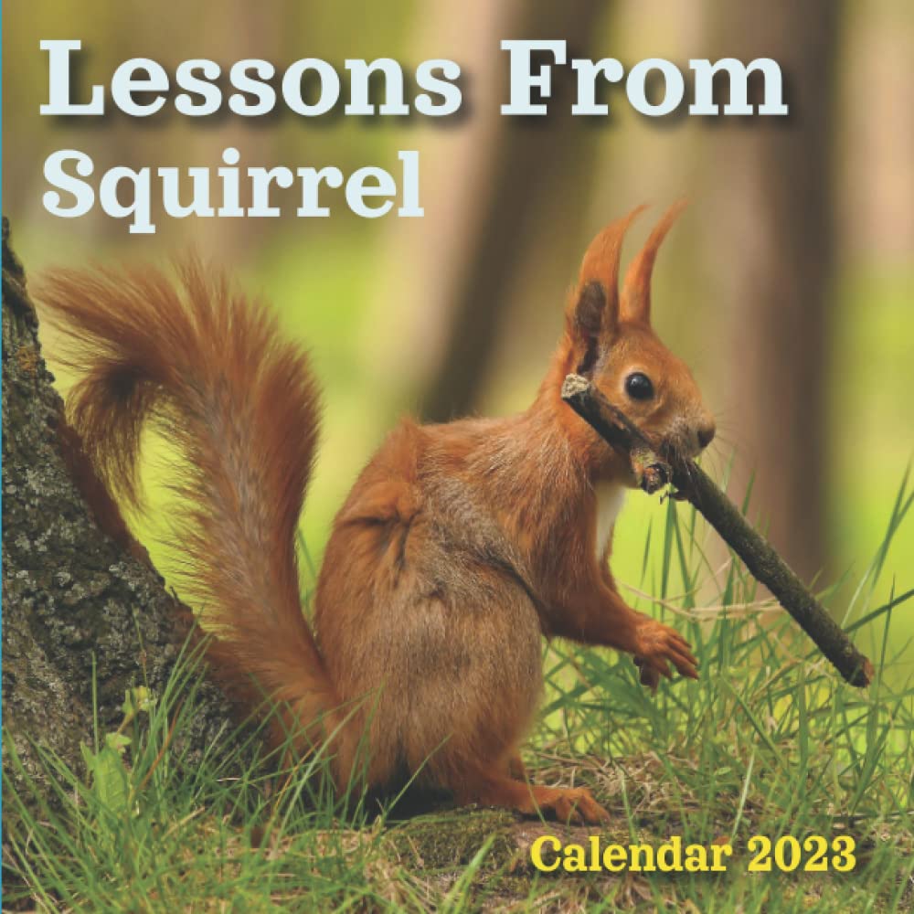2023 Squirrel Calendar Lessons From Squirrel Calendar 2023: 18 Month Squirrel Calendar 2023 : July  2022 To December 2023 Calendar With Exclusive Squirrel Photos: Publishing,  Sabina: 9798824676679: Amazon.com: Books