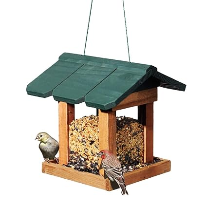 Yllyll Mangeoire à Oiseaux En Bois For Oiseaux Sauvages En