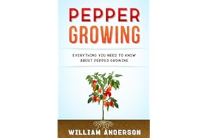 Pepper Growing: Everything You Need to Know About Peppers Growing