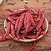 Yimi Premium Whole Dried Chilies, Chinese Dry Red Chili Peppers, For Hot Chili Oil and Sichuan Chongqing Hotpot, 10.7oz, Holiday Gift, Medium Hot