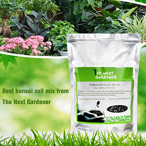 5 Organic+Succulent+Cactus+Draining+Pre+Mixed