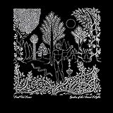 GARDEN OF THE ARCANE DELIGHTS / PEEL SESSIONS      image