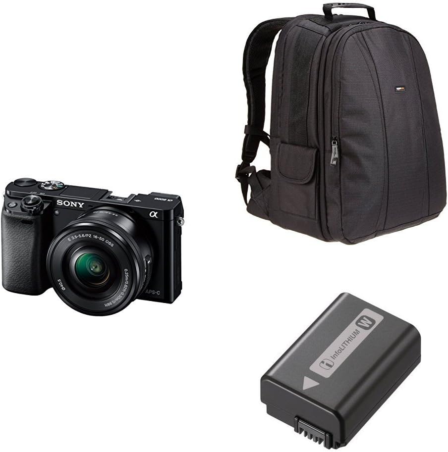 sony a6000 backpack