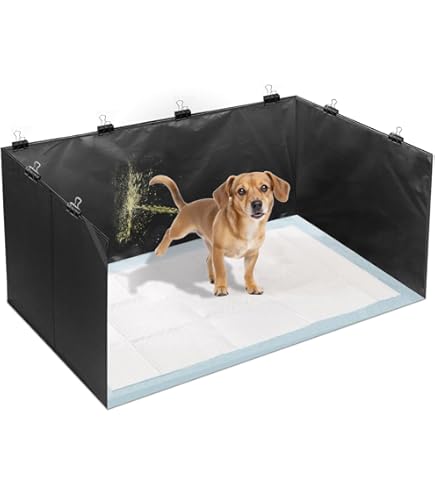 Pee Pad Puppy Started Pooping In Crate At Night Pee Pad Holder Dog