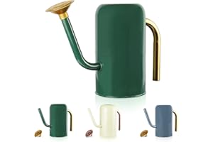 MEGAWODAR 0.6 Gallon Metal Watering Can with Brass Colored Removable Spout and Handle, Nice Galvanized Steel Water Can with Cactus Design for Indoor and Outdoor Plants' Gardening and Home Decor (Green)