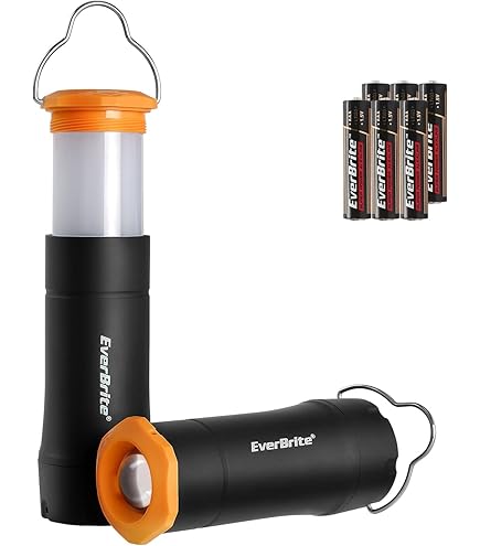 Amazon.com: Dorcy 40 lumens Assorted LED Lantern : Sports & Outdoors