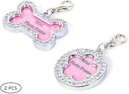 Panphy Dog Tag 2pcs étiquette De Nom De Chien Identification De Lanimal Familier Carte Nom De La Marque Badge Didentification Plaque