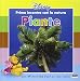 Piante. Con Winnie the Pooh e i suoi amici - M. Floreale
