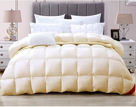 求人 ラリーベルモント 予想する 布団 暖かい Jetpo Jp