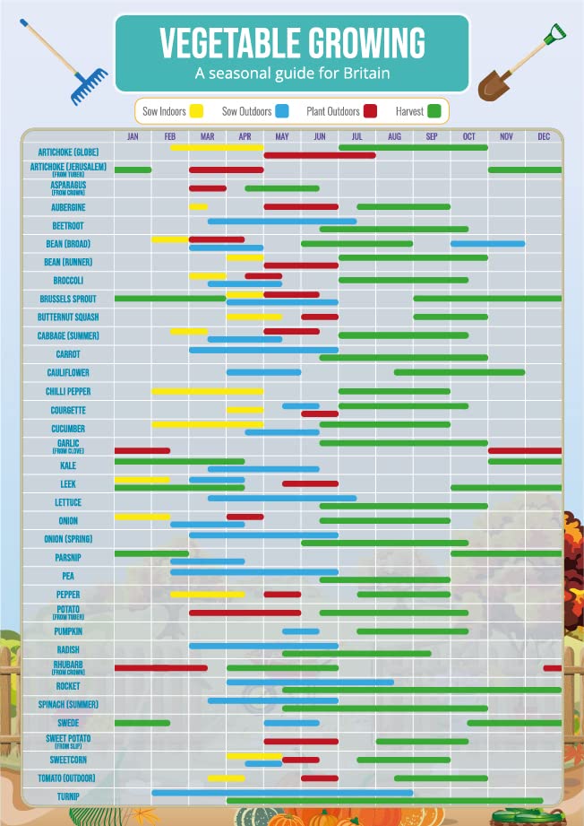 Gardening Vegetable Growing Planner Poster - A3 Size & Laminated - Calendar Planner Gantt Chart for Crops, Fruit, Veg, Allotment
