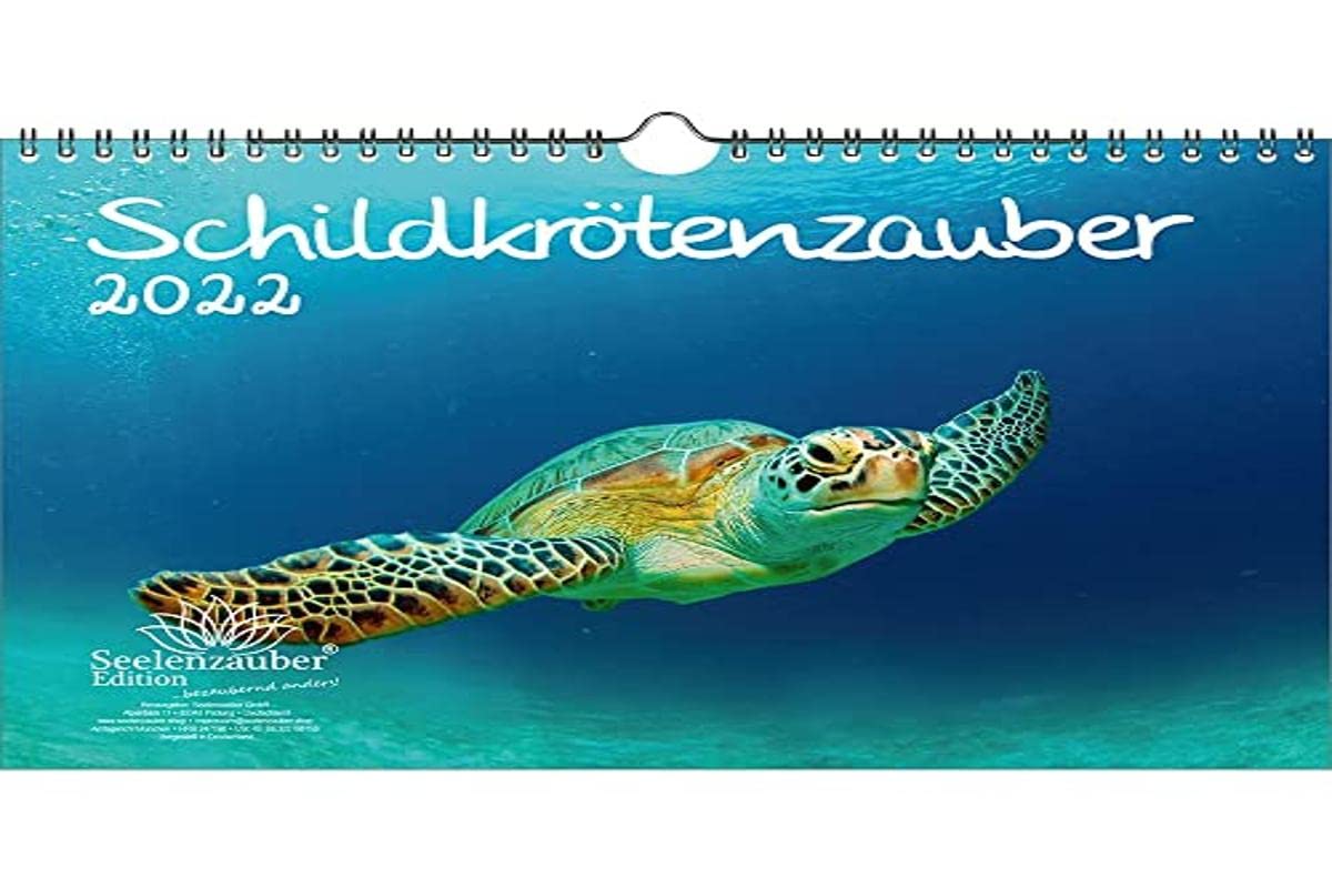 Turtle Magic DIN A4 Calendar for 2022 Turtles Seelenzauber