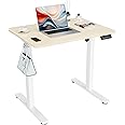 ERGOMAKER Electric Standing Desk, 31.5" x 23.6" Height Adjustable Sit Stand Desk with Splice Board for Home Office, Computer Desk Memory Preset (White Frame, Gold Oak Desktop)