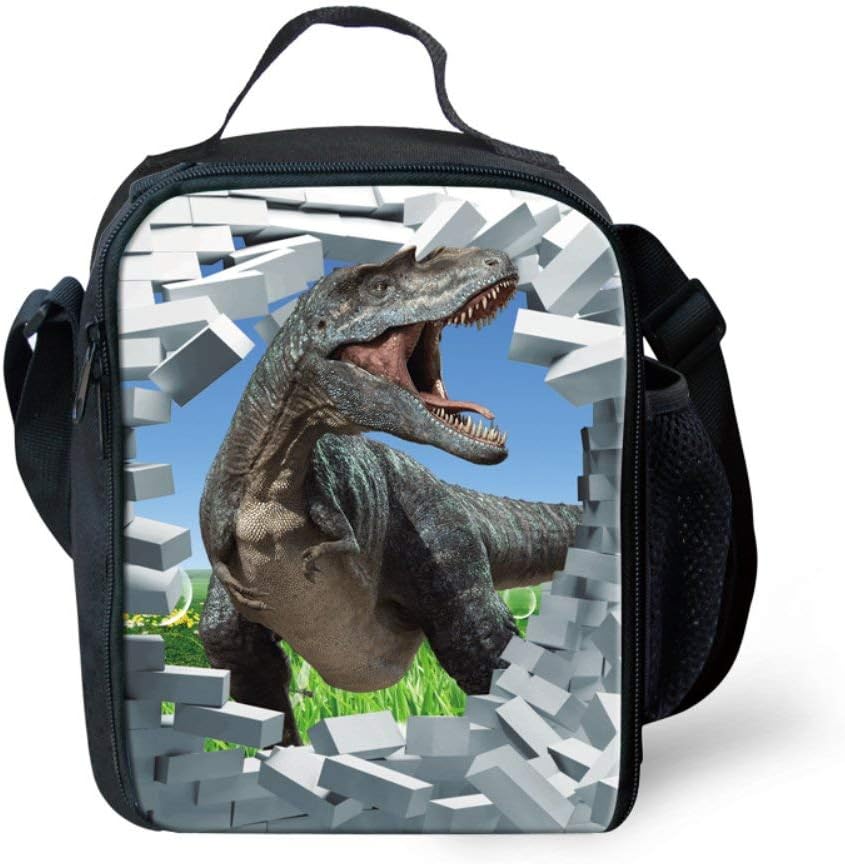 dinosaur pack lunch box