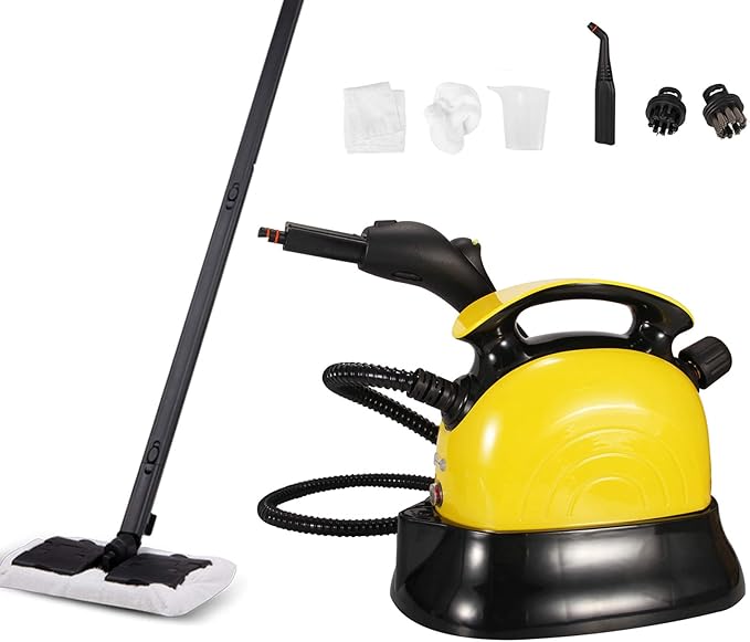 high heat steam cleaner rental