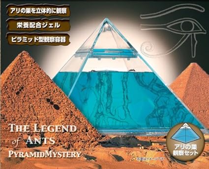 Amazon Co Jp アリ伝説ピラミッドの謎 アリキャッチャー 文房具 オフィス用品