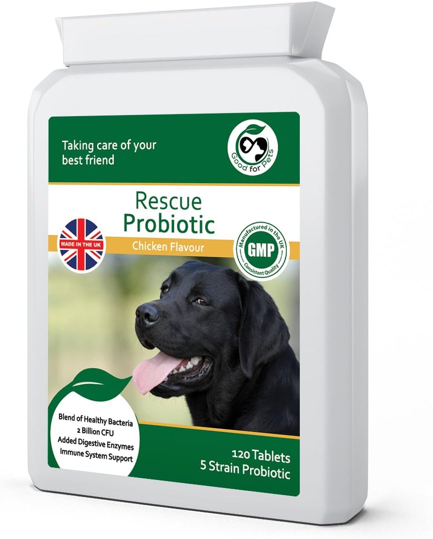 hill's puppy dog food