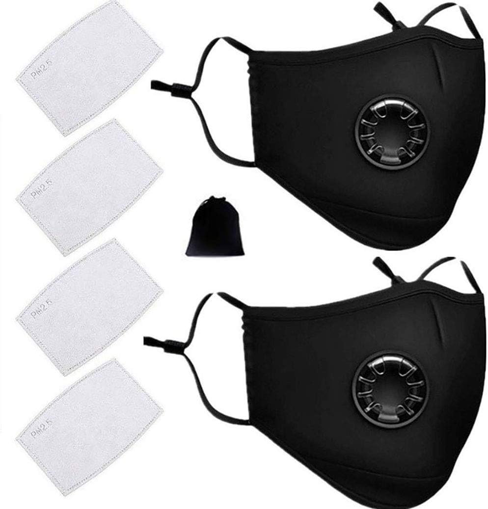 Benrise 2 Pack PM 2.5 Air Pollution Masks with 4 Air Filter Cotton Sheet Washable Reusable N95 Anti Dust Smoke Face Mask Respirator with Adjustable Straps