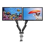 Loctek ガス圧式デュアルモニターアーム USBポート付き 2画面設置 10-30インチのモニター対応D8D