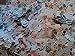 1000+ Used Worldwide Postage Stamps Off-paper Stamp International Stamp Collecting