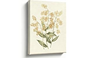 Vintage Botanical Canvas Wall Art, Wildflower Illustration Neutral Background, Farmhouse Floral Oil Painting Print, Rustic Wa