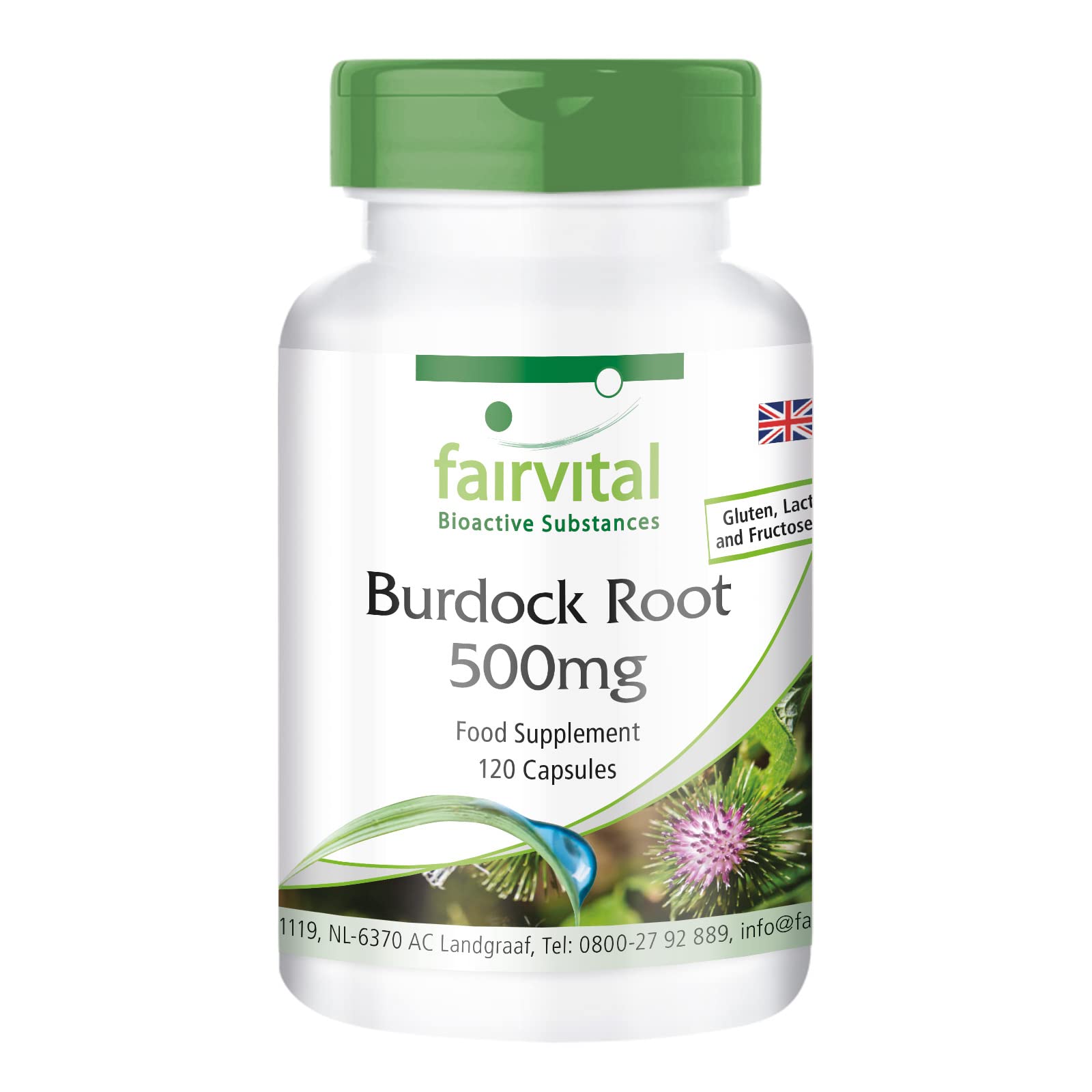 Fairvital | Burdock Root Capsules - 500mg - HIGH Dosage - Vegan - 120 Capsules - with zinc