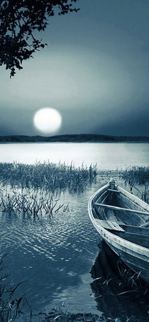 PeelitStickit, Beautiful Nature Wall Murals, ID-3364, vinyl