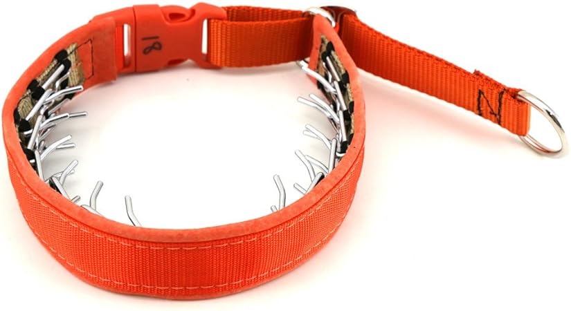 keeper collar hidden prong