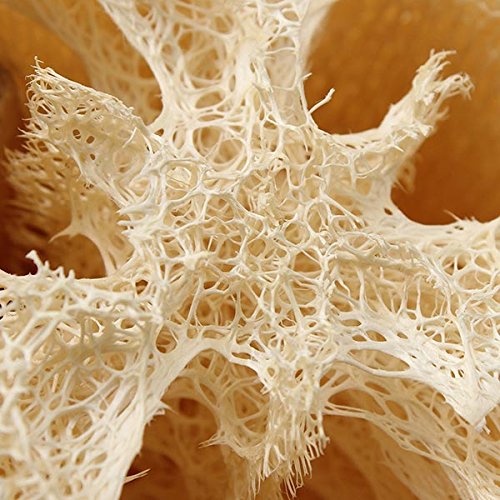 SERENITY SPONGES ALL NATURAL LOOFAH 8 PACK