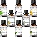 MajesticPure Aromatherapy Essential Oils Set - 10 ml Each