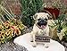 Ebros Gift Large Adorable Pug Dog Garden Greeter Statue with Jingle Collar 11.25