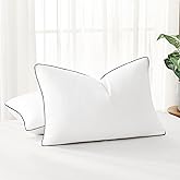 DOWNSTORIA Feather Down Pillows Queen/Standard Size Set of 2, Luxury Hotel Collection Bed Pillow 2 Pack, Down Surrounded Pillows for Sleeping, Soft Fluffy for Side Sleepers 20x28 in.