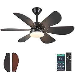 MADSHNE Ceiling Fans with Lights and