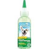 dog teeth foam