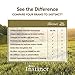Instinct Raw Boost Grain Free Chicken Meal Natural Dry Cat Food By Nature'S Variety, 5.1 Lb. Bag