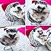 Dahey Cute Hedgehog Mini Chair Small Animal Toy Plastic Swivel Seat Decoration Photo Pops for Hamster, Mice, Other Small Pets, Red