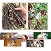 William Craft Apple Sticks Pet Chew Toy Treats for Chinchilla Guinea Pigs Rabbits Squirrel Hamster Bunny