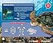 Smithsonian E-Z Build Puzzle - Green Sea Turtle