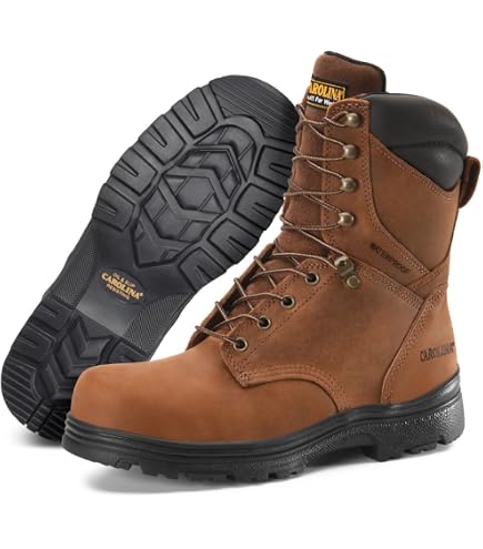 Amazon.com | Carolina Surveyor 8 display picture 3