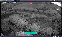 Review Image by C. Winton C. Winton