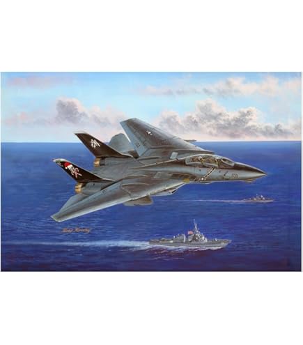 Amazon.com: Hobby Boss F-14D Tomcat Airplane Model Building