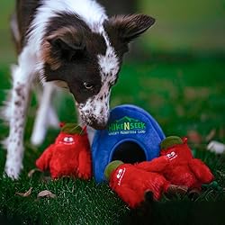 BULLTUG Hide and Seek Dog Toy