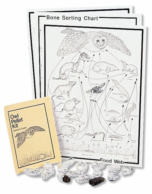 Amazon Com Barn Owl Pellet Classroom Kit Industrial Scientific