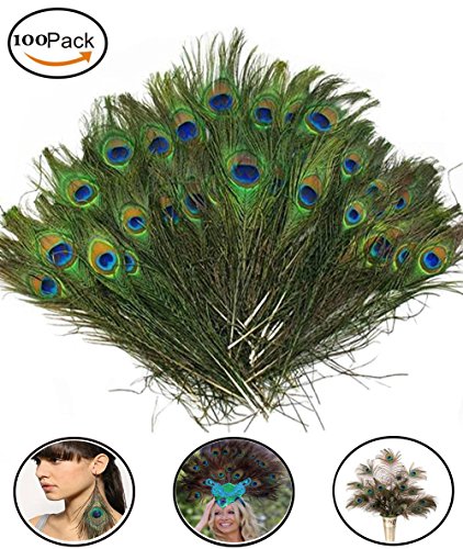 Fashionclubs 100pcs Christmas Decor Natural Peacock Tail Eyes Feathers 8