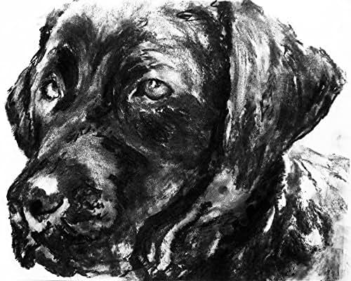 Amazon.com: Labrador Charcoal Wall Art, Black Lab Art, Labrador Dog