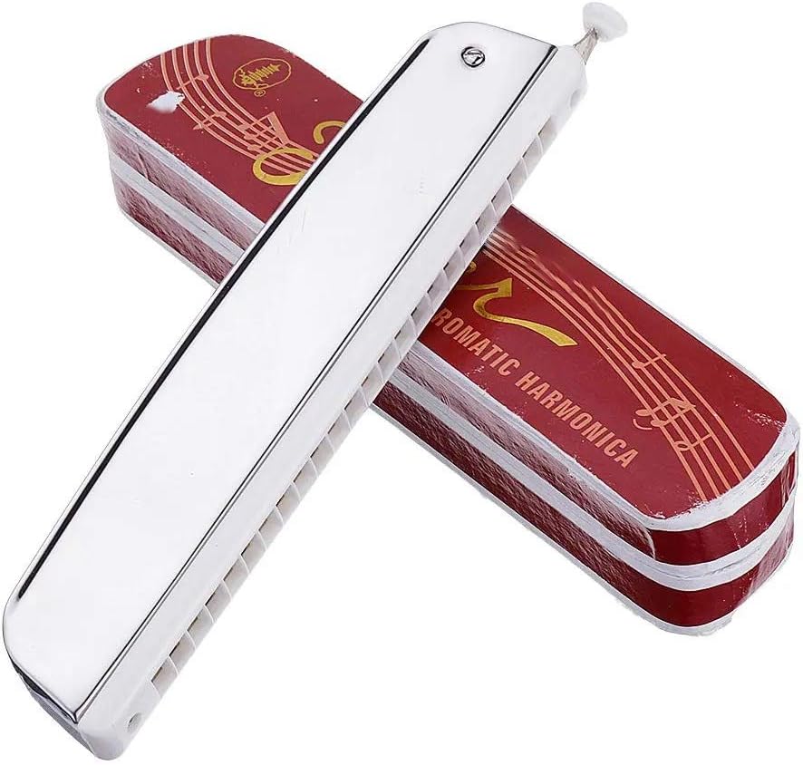 Qiming Professional Harmonica 24 Holes Chromatic Harmonica C Key for Adults (Color : Silver, Size : C)