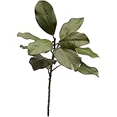 FlorisDecor 22'' Realistic Southern Magnolia Branches, Real Touch Leaves, Artificial Magnolia Picks for Home Décor, Set of 3