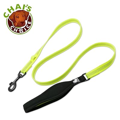 Best outdoor leash for dogs Outlet