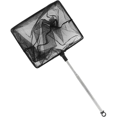 Amazon.com Gift Ideas: The most popular items ordered as gifts in Aquarium  Nets